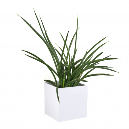 Cache-pot magnétique cube